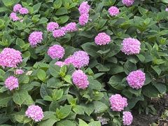 -常州古运河南大街文化旅游区-人民公园