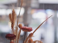 -81BAKERY(大学路店)
