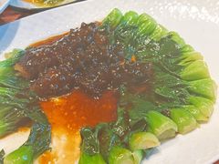 素海参扒菜心-功德林(南京西路店)