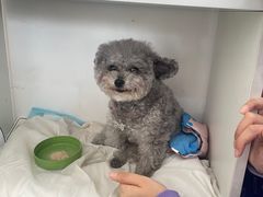 -酷宠动物医院(天通西苑店)