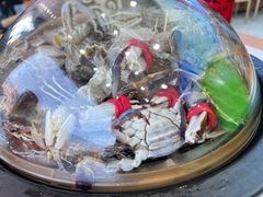 -王潮活海鲜自助·蒸汽海鲜