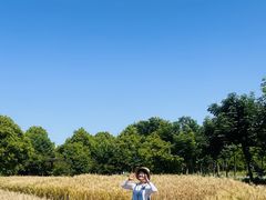 -上海浦江郊野公园-5号停车场