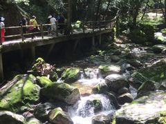 -牛背梁国家森林公园