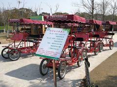 -上海长兴岛郊野公园