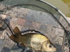 -酷鱼垂钓CLUB(朝阳区博大路店 )