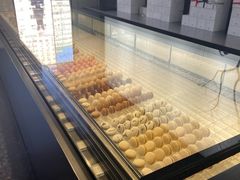 -BLACKSWAN黑天鹅(环球店)