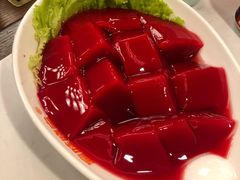 鲜鸭血-晓宇重庆火锅(赛格国际购物中心店)