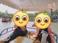 -杨柳青庄园