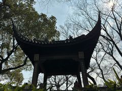 -沧浪亭