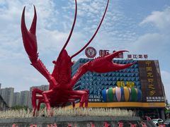 -虾皇(龙虾城旗舰店)