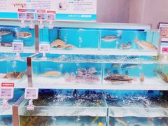 水产区-盒马鲜生(财富中心店)