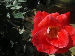 -人民公园(罗湖区)