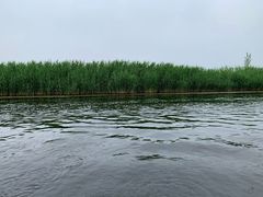 -白洋淀景区