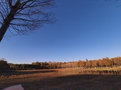 -东郊湿地公园