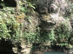 -怀托摩萤火虫洞