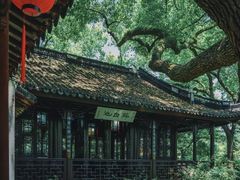 -上海醉白池公园