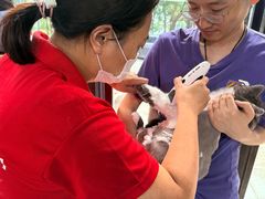 -久久宠物(河东万达店)