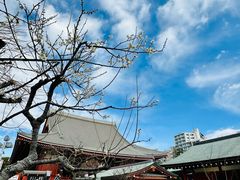 -浅草寺