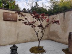 -和顺柏联温泉