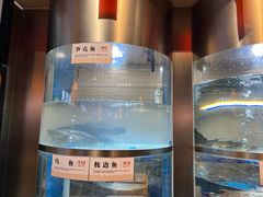 -老船舫·现做活鲜鱼馆(东郊记忆店)