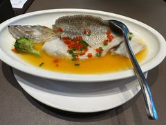 -有璟阁港式餐厅(国贸商城店)