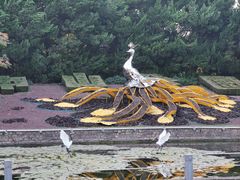 -中山公园
