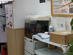 -郑远元专业修脚房(昌里东路店)