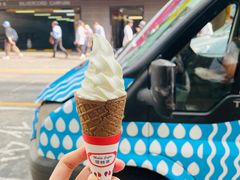 -富豪雪糕车流动点(尖沙咀店)