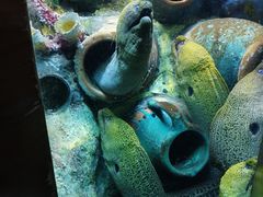 -太平洋海底世界