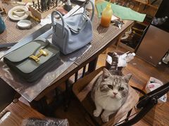 -如果·追梦手工皮具DIY教学店(田子坊店)
