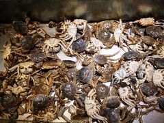 -欢乐牧场海鲜烤肉自助(牡丹园店)