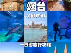 -烟台海昌鲸鲨海洋公园