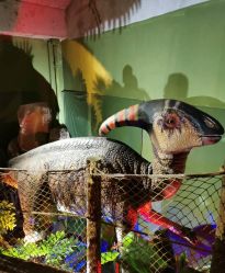 -恐龙探索乐园(磁器口店)