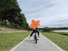 -风云岭森林公园