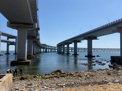 -星海湾跨海大桥