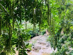 -崂山九水游览区