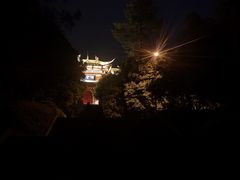 -铁山坪森林公园