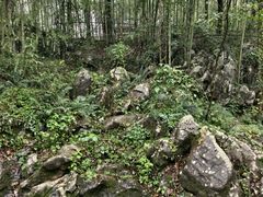 -陶祖圣境风景区