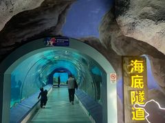 -福州罗源湾海洋世界旅游区