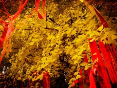 -终南山古楼观历史文化景区