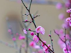 -昆明华邑酒店