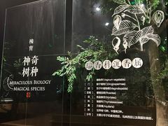 -中国沉香文化博物馆