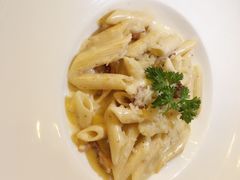 奶油培根意面-百好乐宠物友好餐厅(朝外大街店)