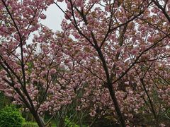 -南京市无想山景区