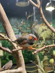 -Zoolung Zoolung动物主题公园(海信广场店)