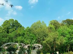 -深圳仙湖植物园-停车场