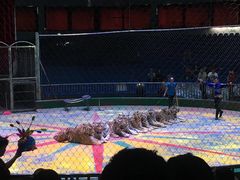 -西安秦岭野生动物园