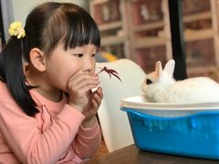 -藦茜花园宠物主题亲子互动体验馆(国顺东路店)