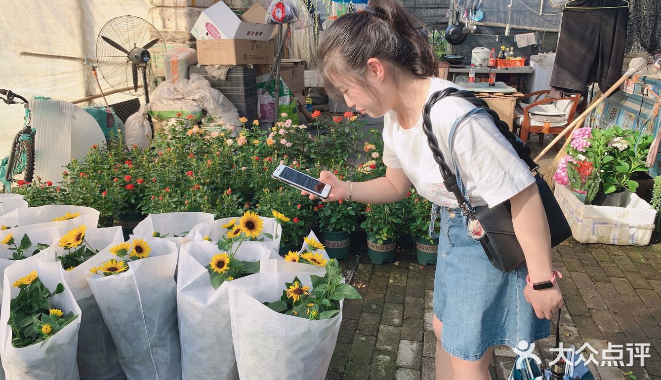 娇艳欲滴の夏日鲜花打卡地🌹
