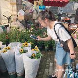 娇艳欲滴の夏日鲜花打卡地🌹